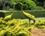 GardenDrum Anne Latreille 2 bird sculpture