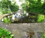 GardenDrum Anne Latreille 2 pond