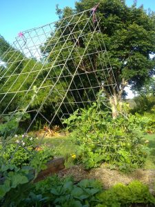 Watermelon frame of gal steel mesh panels