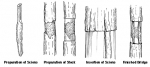 Bridge grafting technique *