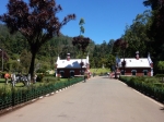 Botanical Gardens (est. 1847) in Ootacamund (Ooty)