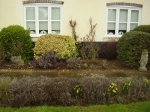 The garden bed before work began, March 2011
