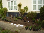 Planting last April, 2011