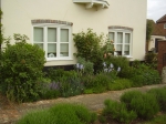 Middle of May 2011 - it was a great surprise how quickly the new planting scheme developed into a whole picture in a couple of weeks after planting