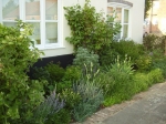 The end of May 2011 - the bed is already looking full and showing foliage colour and texture
