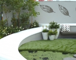 The cream, pale yellow and blue-greens in the plants look fabulous with the white deck
