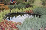 Great foliage plants & interesting sculpture from the Landscape Industries Association of WA