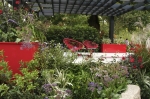 'Surge' by Candeo Design featured vivid reds, grey, black and fabulous plants - dahlia, iris, statice, day lily & chinese plumbago