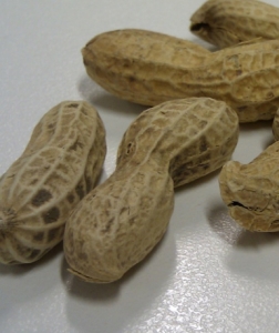 peanuts avlyxz