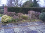 GardenDrum BFeistel 1 - the mixed border end march 2011