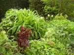 GardenDrum BFeistel 7 - spring 2012 detail of red Hemerocallis 'Little Wine Cup' & Tulipa 'Spring Green'