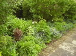 GardenDrum BFeistel 9 - May 2012 with forget-me-nots