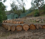 The pine logs cut into rounds make good temporary retaining walls