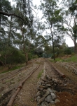 With the tree removed, the logs used as path edging, the stump ground out and the whole area cleaned and tidied