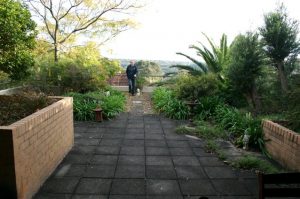 gardendrum pnixon rooftop garden0