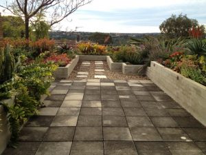 gardendrum pnixon rooftop garden16