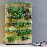 vertical garden bridgman