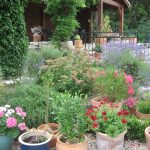 Shrubs and pots separate the house and terrace from the car parking area