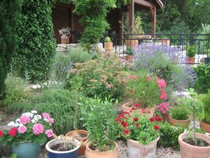 Shrubs and pots separate the house and terrace from the car parking area