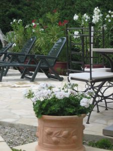 Cool and elegant: white Pelargoniun ties in with the table and chairs