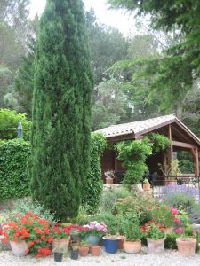 Mature trees frame the barbecue terrace