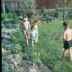 The children strolling along my mother's relatively new rock garden in the allotment