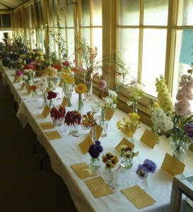 Alice Spring Flower Show
