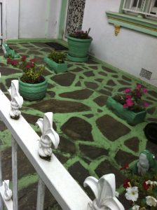 Concrete front garden. And frogs