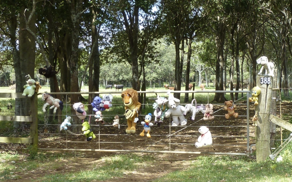Crazy toy gate Norfolk Island