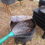 Making-your-own-liquid-fertiliser-007