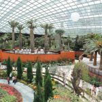 Inside the Flower Dome