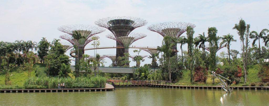 Supertree grove