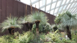 The Australian Garden