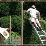 He will be sore tomorrow. (www.theoccasionalgardener.com)