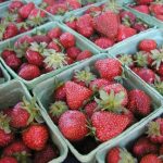 strawberries