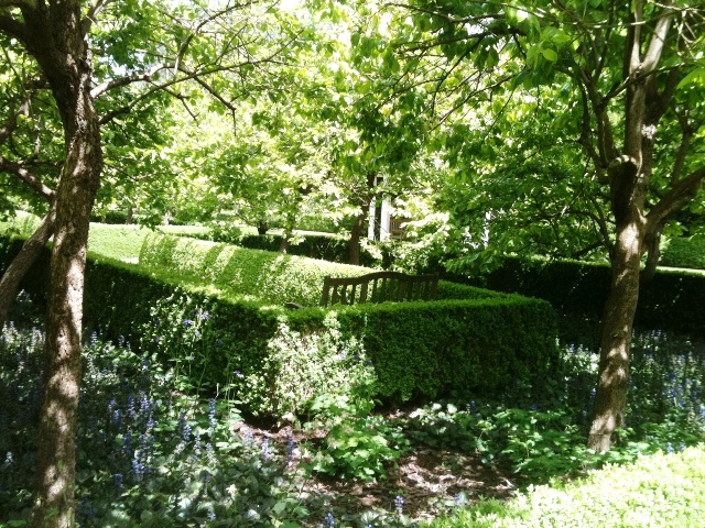 external image Hedging-and-plants-in-dappled-shade-of-deciduous-trees.jpg