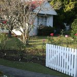 old timer's garden