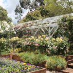 Sanctuary garden