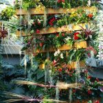 Princess of Wales Conservatory, Kew Gardens