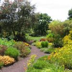 The Lurid Border, Ayrlies, Auckland