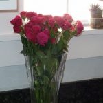 Maria-von-Brincken-pink-roses-on-counter-600x800-e1357342071291