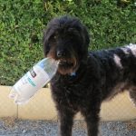Benson and his bottle