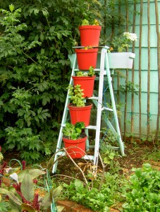 Use your imagination. An abandoned ladder with a fresh coat of paint becomes a pot plant holder