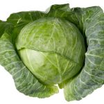 Cabbage