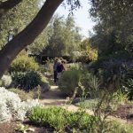 Lambley Nursery2