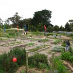 Crib Point Community Garden, called 'The Crib'