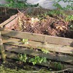 bio-compost