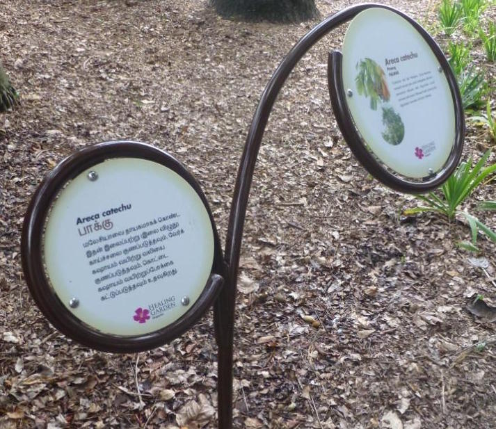Multi-lingual Healing garden sign in Tamil and English, others in Malay and Chinese, reach out to diverse communities, making the point that each knows and values plants for differing medicinal and cultural reasons