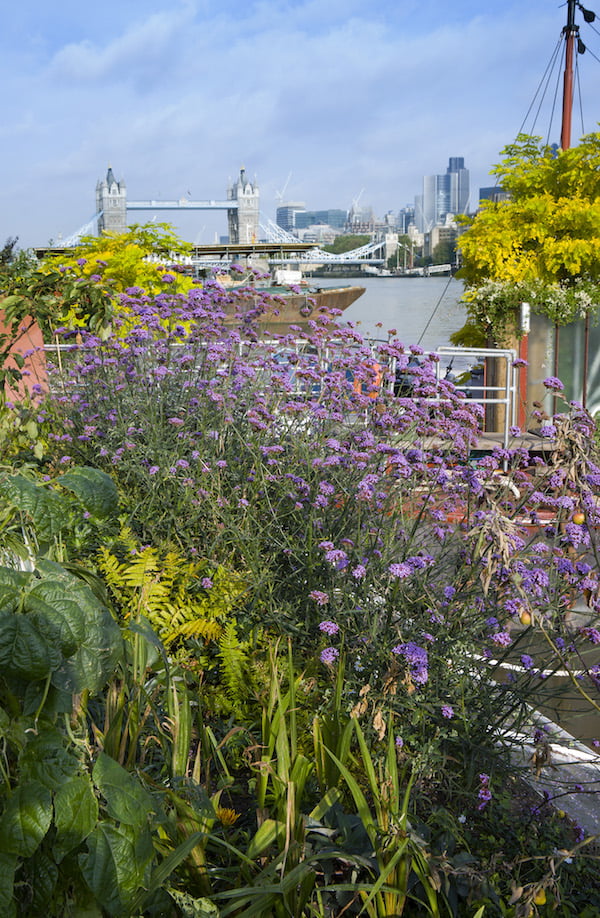 Great Gardens of London page 58 Floating barge gardens on the Thames Photo (c) Marianne Majerus