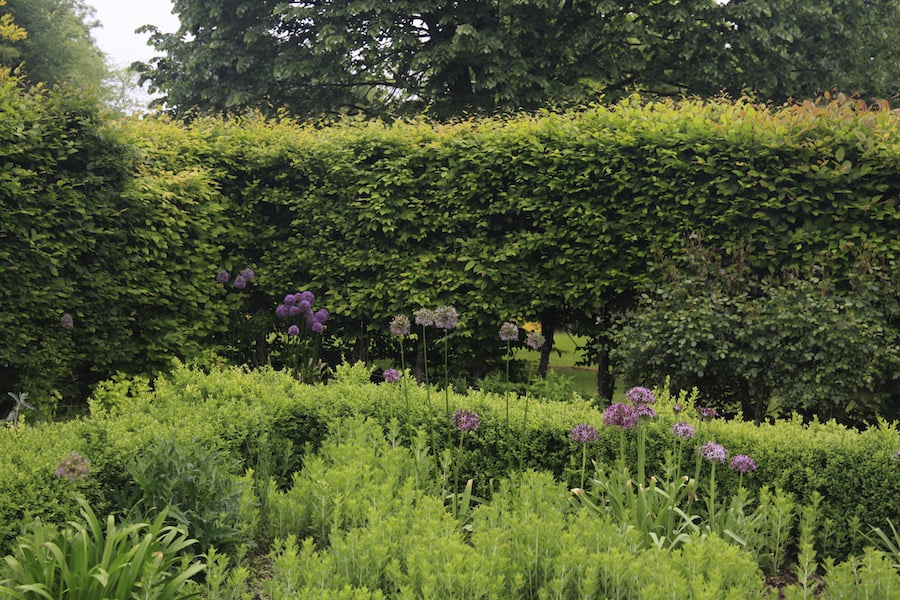 Shaggy hedges display a lack of care in Les Jardins en Le Pays d’Auge